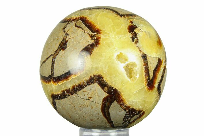 Polished Septarian Sphere - Madagascar #289929